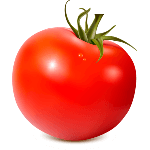 Помидор