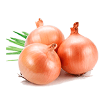 Лук репчатый