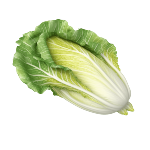 Пекинская капуста